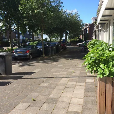 Beachroom 3* זנדוורט