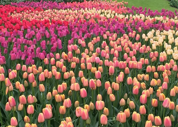 Beachroom Maison d'hôtes Zandvoort