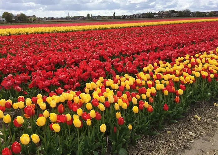 Beachroom Maison d'hôtes
