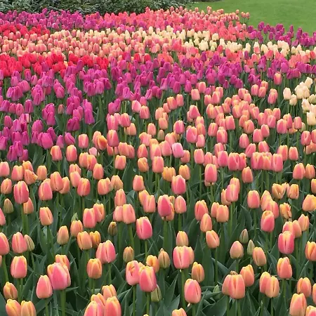Beachroom Pensión Zandvoort